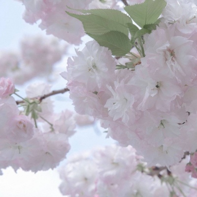 原创兽设世界观设计思路FurryQQ群